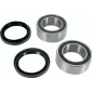 Κιτ ρουλεμάν πίσω τροχού BEARING KIT WHEEL Rear Yamaha YFZ thumb